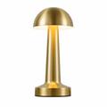 Table Lamp | Dimmable LED & Touch Sensor | USB Rechargeable | Metal Body