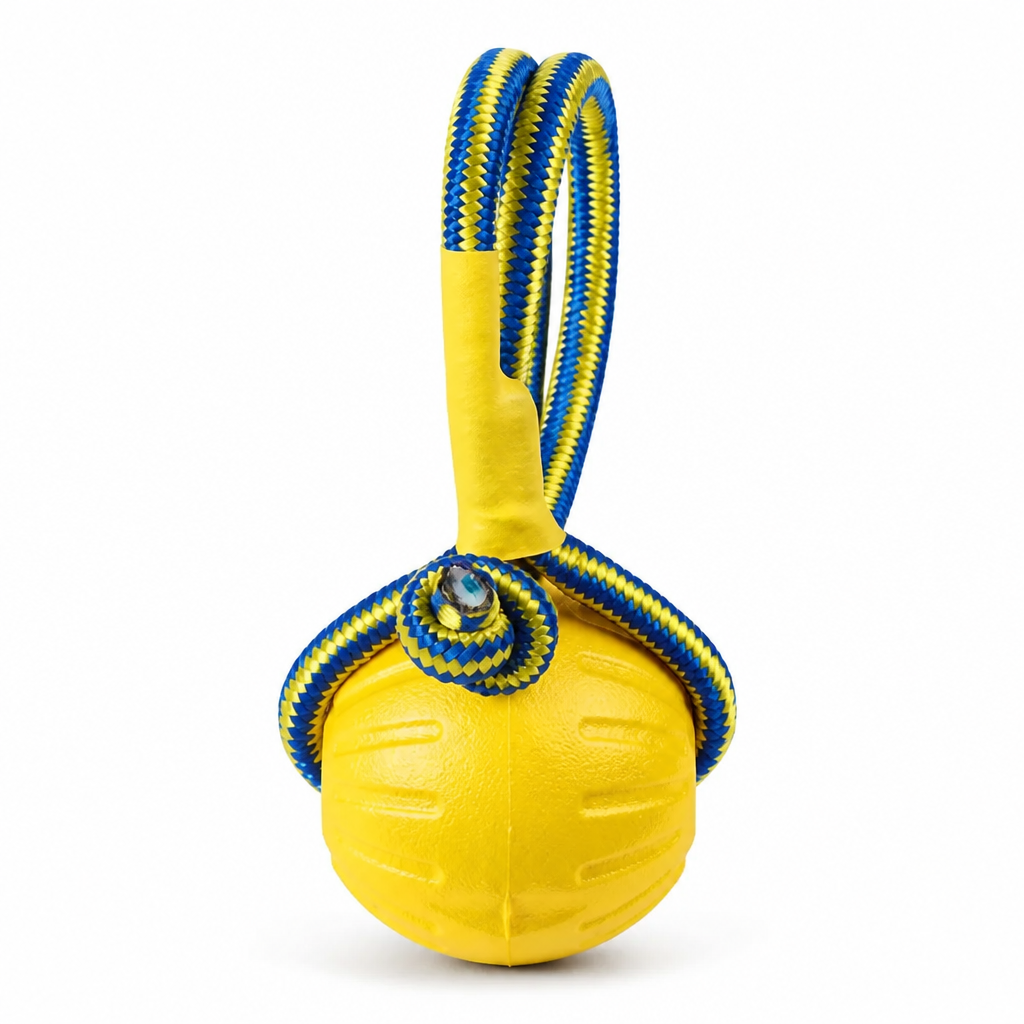Durable Solid-Core Dental-Cleaning Dog Ball Toy