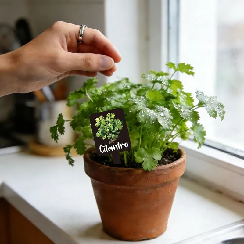 Acrylic Plant Labels Waterproof 12-Piece Set